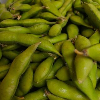新潟黒崎茶豆はじまりました🫛 湯がきたて…