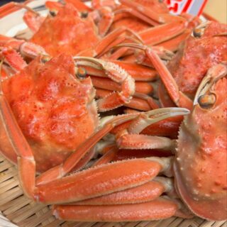 セコガニ🦀始まりました 今年もセコセコし…