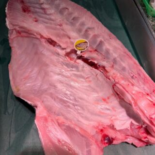 長崎五島列島北部の宇久小値賀で獲れた 1…