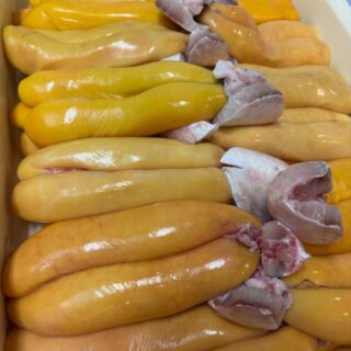 ボラ子仕込み始まりました🫡 愛情込めて育…