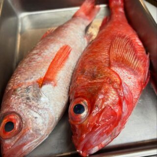 . 遅くなりましたが、 2月の定休日は毎週…