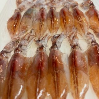 . お知らせです いつもご来店いただきあ…